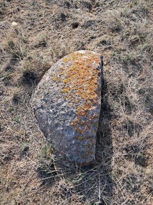 20250323_174220.jpg