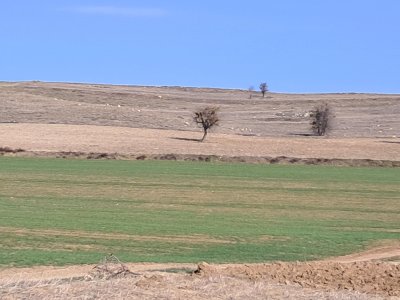 20250323_170721.jpg