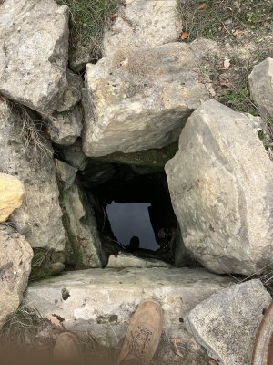 IMG_0379.jpeg