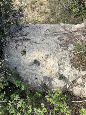 IMG_0346.jpeg