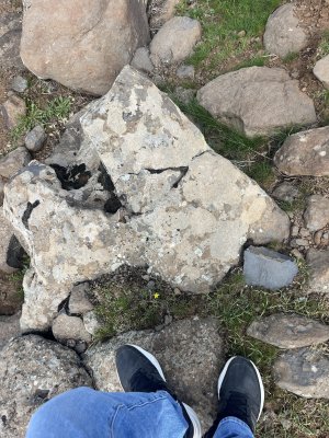 IMG_1357.jpeg