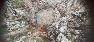IMG-20250430-WA0010.jpg