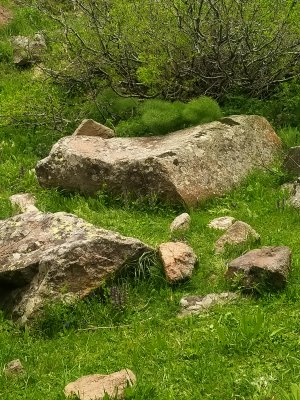 IMG20250511120701.jpg