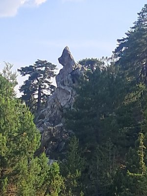 20250608_172539.jpg