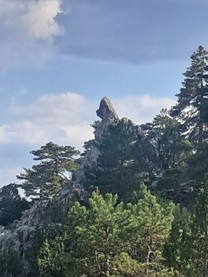 20250608_172447.jpg