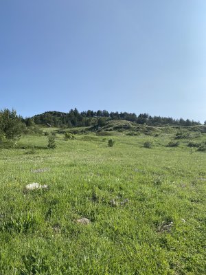 IMG_0396.jpeg