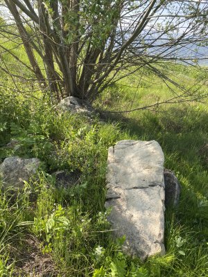 IMG_0397.jpeg