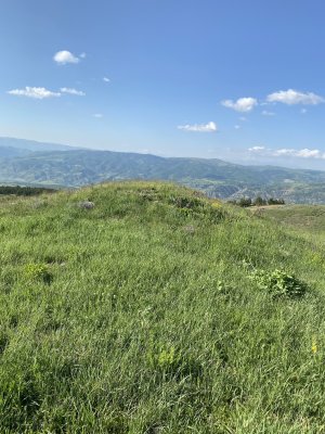 IMG_0403.jpeg