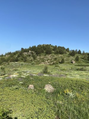 IMG_0407.jpeg