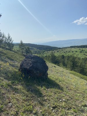 IMG_0372.jpeg