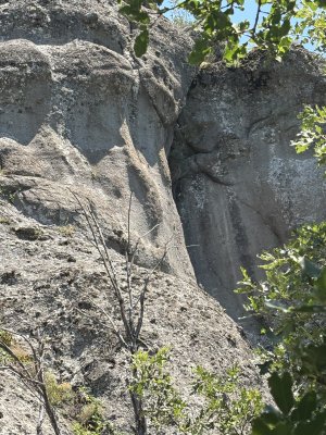 IMG_0122.jpeg