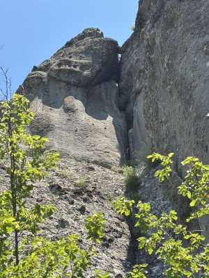 IMG_0130.jpeg