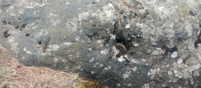 IMG_20250716_134556_647.jpg