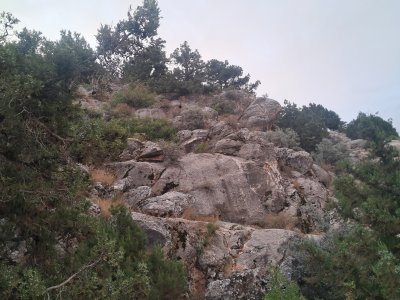 20250716_195956.jpg