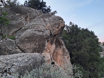 20250718_202421.jpg