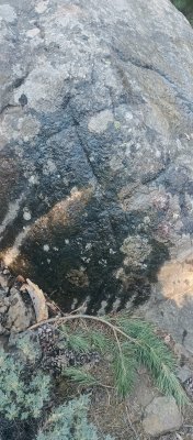 IMG_20250722_172616_035.jpg