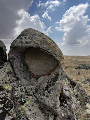 IMG_4432.jpeg