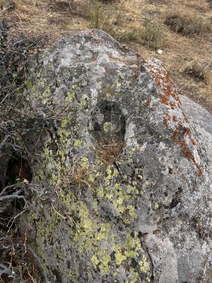 IMG_4410.jpeg