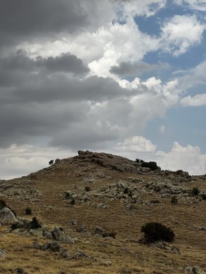 IMG_4470.jpeg