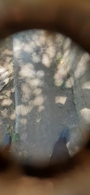 IMG-20250805-WA0051.jpg