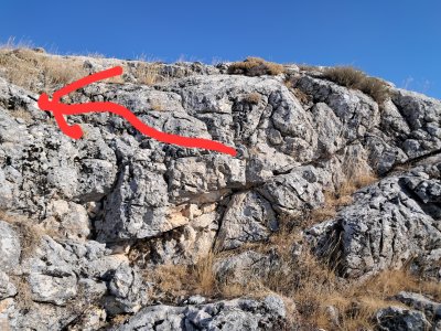 20250820_171644.jpg