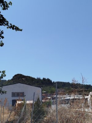 IMG_20250917_125903.jpg
