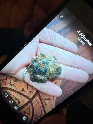 WhatsApp Image 2025-09-24 at 08.34.11 (1).jpeg