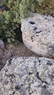 8F3247DF-A01B-4396-B760-B74409D8456B.jpeg
