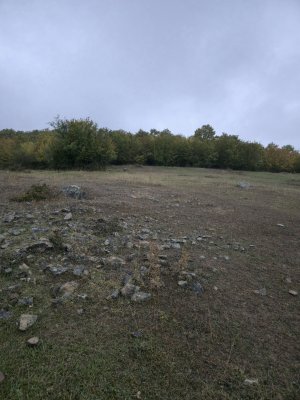 20250930_180441(1)(1).jpg
