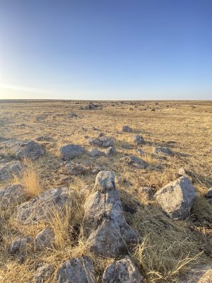 IMG_7734.jpeg