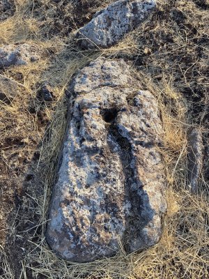 IMG_7783.jpeg