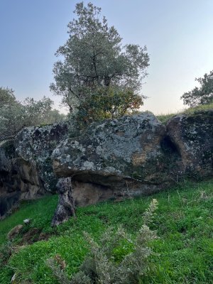 WhatsApp Image 2025-11-07 at 16.07.33.jpeg