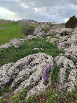 IMG_20260430_184124.jpg