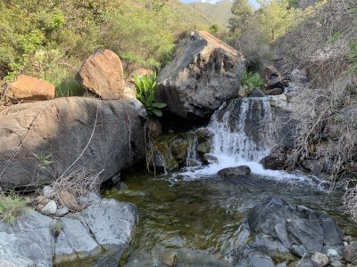 IMG_1532.jpeg