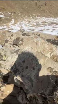 E9F65340-C871-42F0-A99E-E1D04612154D.png