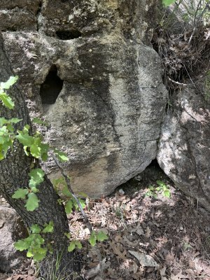 IMG_1202.jpeg