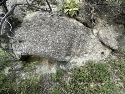 IMG_1240.jpeg