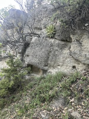 IMG_1243.jpeg