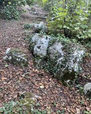 IMG_0027.jpeg