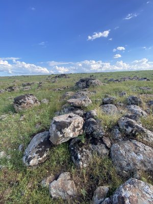 IMG_0485.jpeg