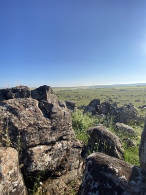 IMG_0535.jpeg