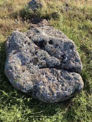 IMG_0593.jpeg