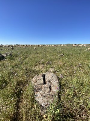 IMG_0682.jpeg
