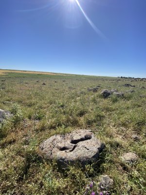 IMG_0683.jpeg