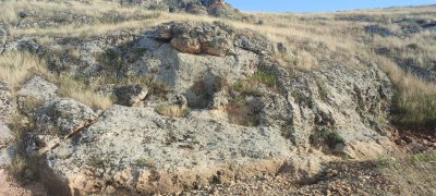 IMG_20260606_180341.jpg