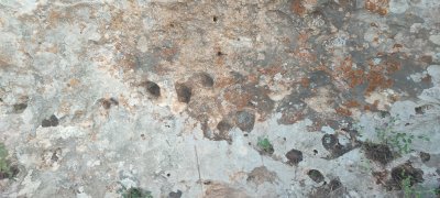 IMG_20260606_191739.jpg