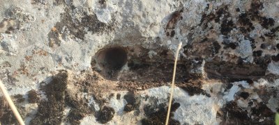 IMG_20260606_181241.jpg