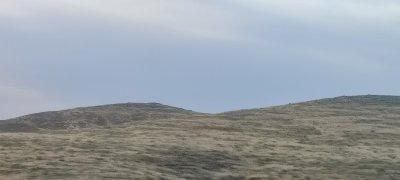 IMG_20260606_183240.jpg