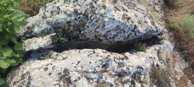 IMG_20260606_182337.jpg