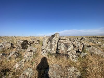IMG_0896.jpeg